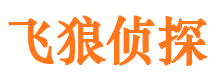 沙坪坝找人公司